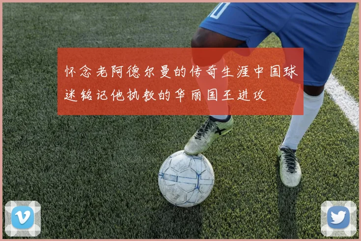 怀念老阿德尔曼的传奇生涯中国球迷铭记他执教的华丽国王进攻