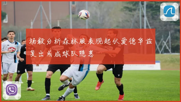 杨毅分析森林狼表现起伏爱德华兹复出或成球队隐患